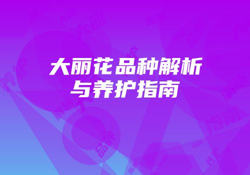大丽花品种解析与养护指南