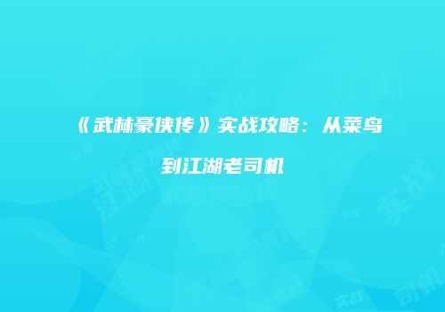 《武林豪侠传》实战攻略：从菜鸟到江湖老司机