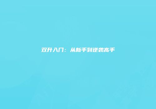 双升入门：从新手到逆袭高手