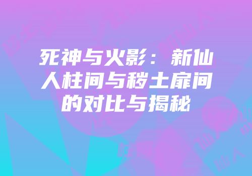 死神与火影：新仙人柱间与秽土扉间的对比与揭秘