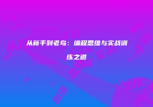 从新手到老鸟：编程思维与实战训练之道