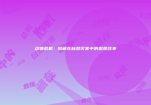动物危机：隐藏在自然灾害中的救援故事