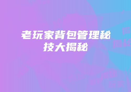 老玩家背包管理秘技大揭秘