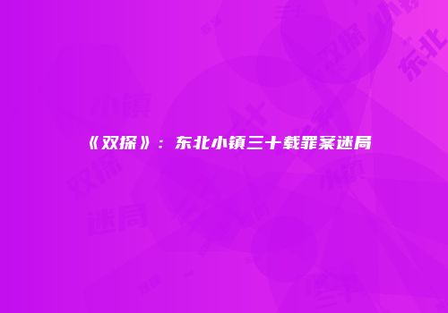 《双探》：东北小镇三十载罪案迷局