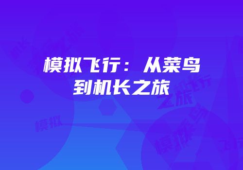 模拟飞行：从菜鸟到机长之旅
