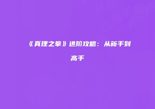 《真理之拳》进阶攻略：从新手到高手