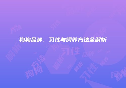 狗狗品种、习性与饲养方法全解析