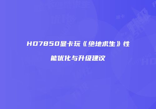 HD7850显卡玩《绝地求生》性能优化与升级建议
