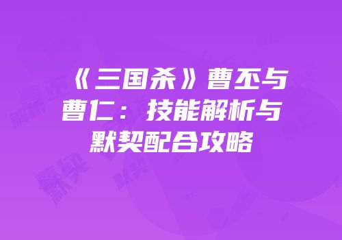 《三国杀》曹丕与曹仁：技能解析与默契配合攻略