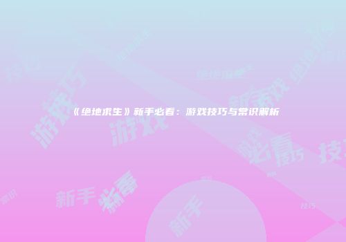 《绝地求生》新手必看：游戏技巧与常识解析