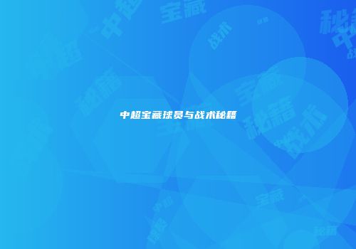 中超宝藏球员与战术秘籍