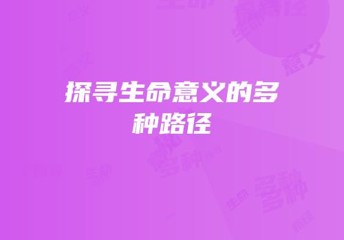 探寻生命意义的多种路径