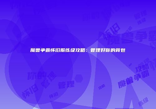 魔兽争霸怀旧服练级攻略：管理好你的背包