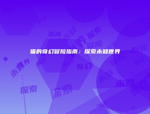 猫的奇幻冒险指南：探索未知世界