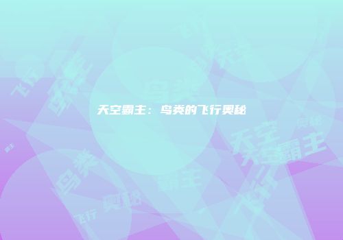 天空霸主：鸟类的飞行奥秘