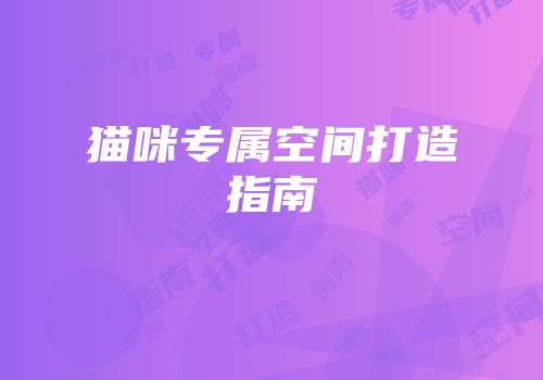 猫咪专属空间打造指南