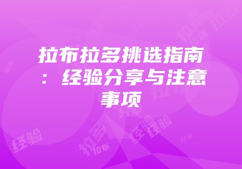 拉布拉多挑选指南：经验分享与注意事项