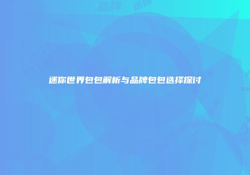 迷你世界包包解析与品牌包包选择探讨