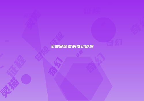 灵猫冒险者的奇幻征程