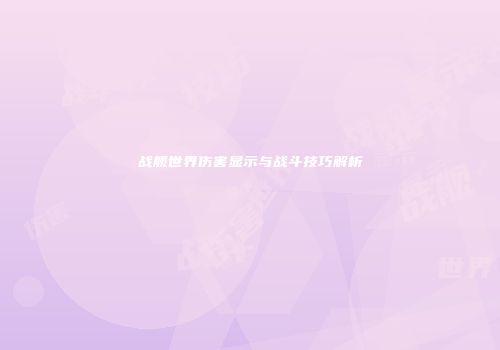 战舰世界伤害显示与战斗技巧解析