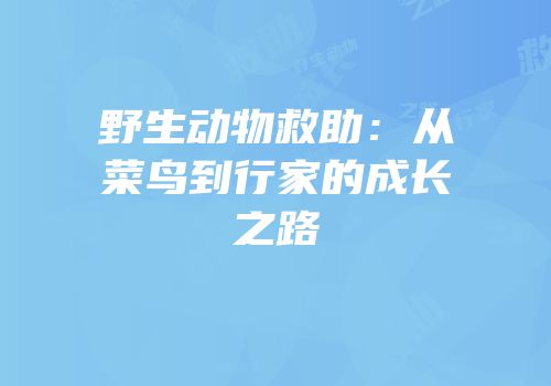 野生动物救助：从菜鸟到行家的成长之路