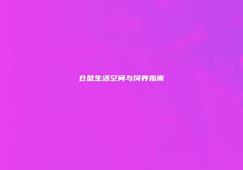 仓鼠生活空间与饲养指南