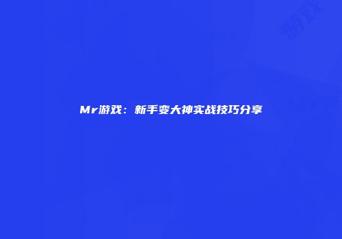 Mr游戏：新手变大神实战技巧分享