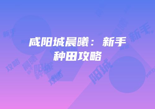 咸阳城晨曦：新手种田攻略