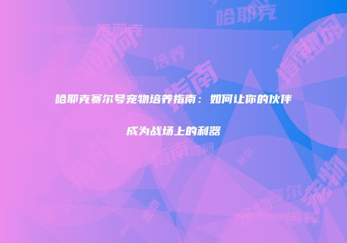 哈耶克赛尔号宠物培养指南:如何让你的伙伴成为战场上的利器