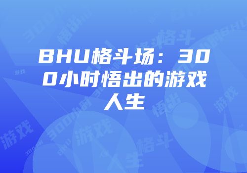 BHU格斗场：300小时悟出的游戏人生