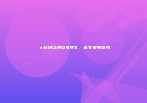 《极限驾驶模拟器》：真实赛车体验