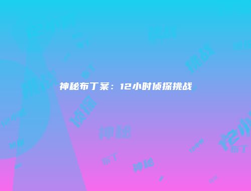 神秘布丁案：12小时侦探挑战