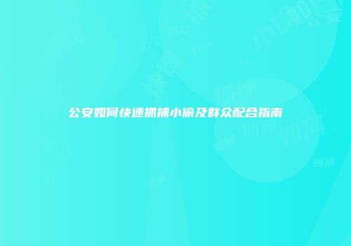 公安如何快速抓捕小偷及群众配合指南
