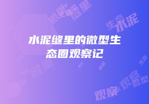 水泥缝里的微型生态圈观察记