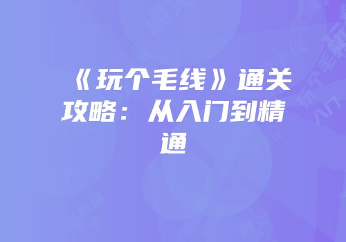 《玩个毛线》通关攻略：从入门到精通