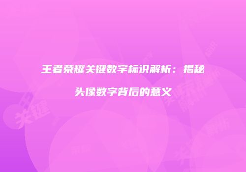 王者荣耀关键数字标识解析：揭秘头像数字背后的意义