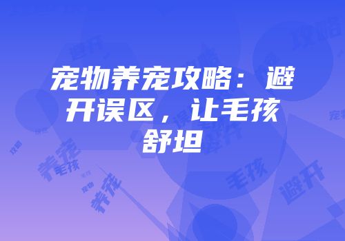 宠物养宠攻略：避开误区，让毛孩舒坦