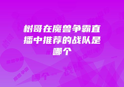 树哥在魔兽争霸直播中推荐的战队是哪个