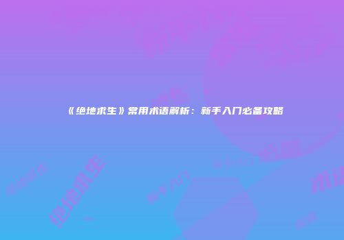 《绝地求生》常用术语解析：新手入门必备攻略