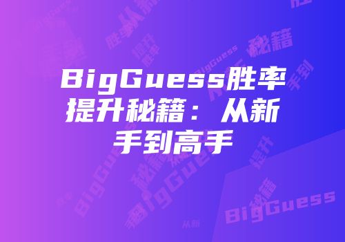 BigGuess胜率提升秘籍：从新手到高手