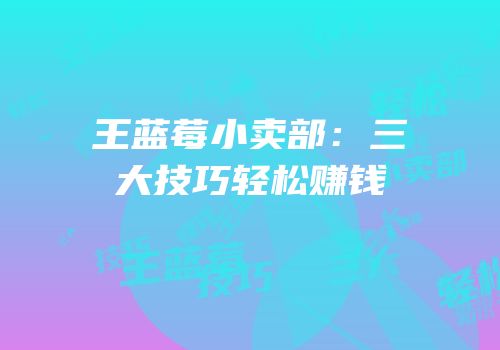 王蓝莓小卖部：三大技巧轻松赚钱