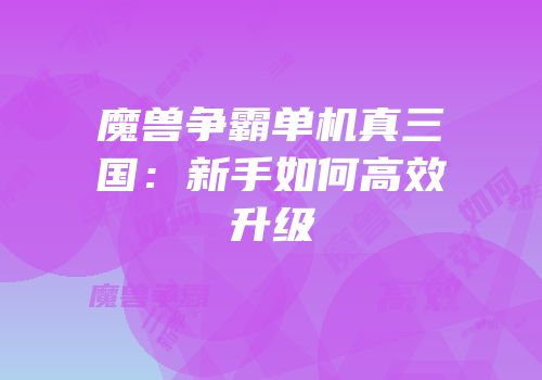 魔兽争霸单机真三国：新手如何高效升级