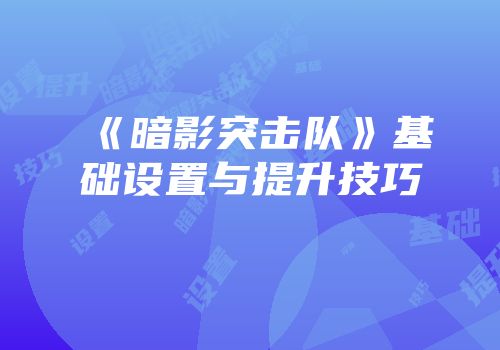 《暗影突击队》基础设置与提升技巧