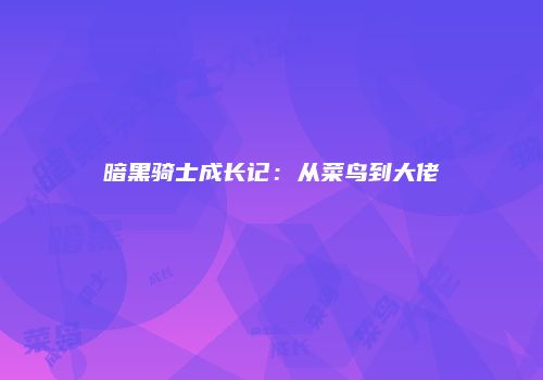 暗黑骑士成长记：从菜鸟到大佬