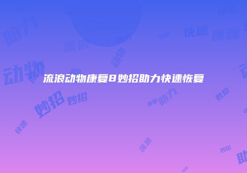 流浪动物康复8妙招助力快速恢复