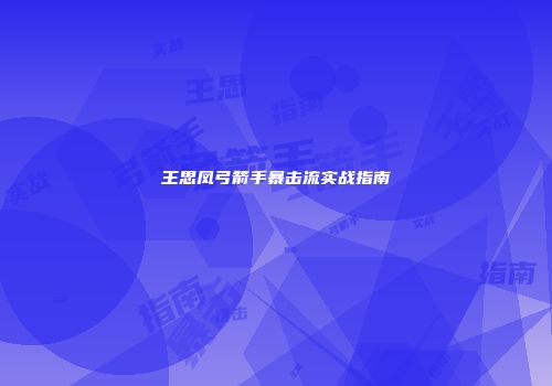 王思凤弓箭手暴击流实战指南
