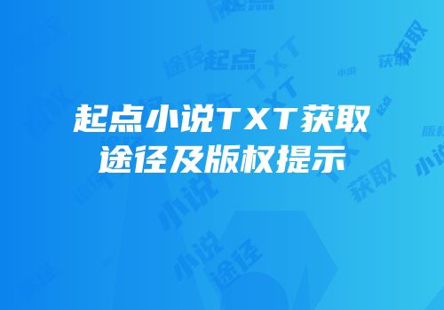 起点小说TXT获取途径及版权提示