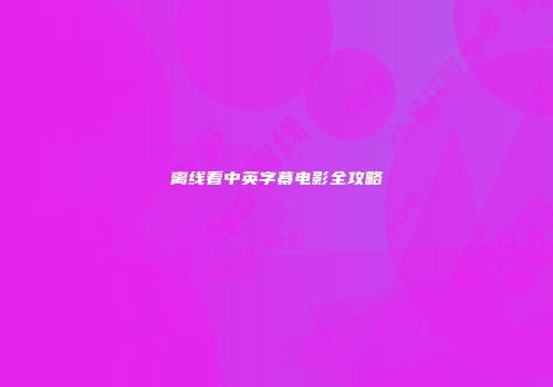 离线看中英字幕电影全攻略