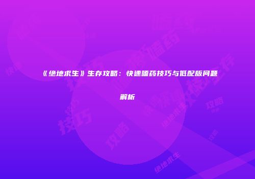 《绝地求生》生存攻略：快速嗑药技巧与低配版问题解析