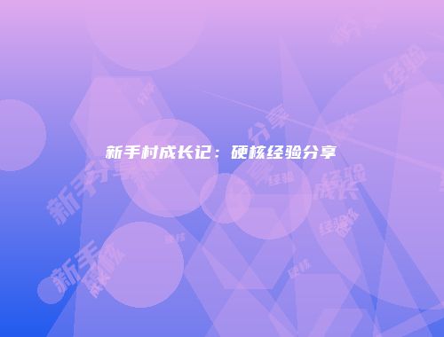 新手村成长记：硬核经验分享